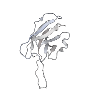 24697_7ru5_D_v1-2
CC6.30 fragment antigen binding in complex with SARS-CoV-2-6P-Mut7 S protein (non-uniform refinement)