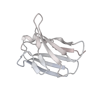 24697_7ru5_E_v1-2
CC6.30 fragment antigen binding in complex with SARS-CoV-2-6P-Mut7 S protein (non-uniform refinement)