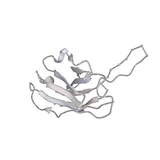 24697_7ru5_H_v1-2
CC6.30 fragment antigen binding in complex with SARS-CoV-2-6P-Mut7 S protein (non-uniform refinement)
