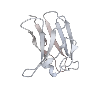 24697_7ru5_L_v1-2
CC6.30 fragment antigen binding in complex with SARS-CoV-2-6P-Mut7 S protein (non-uniform refinement)