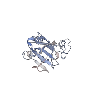 24699_7ru8_C_v1-1
CC6.30 fragment antigen binding in complex with SARS-CoV-2-6P-Mut7 S protein (RBD/Fv local refinement)