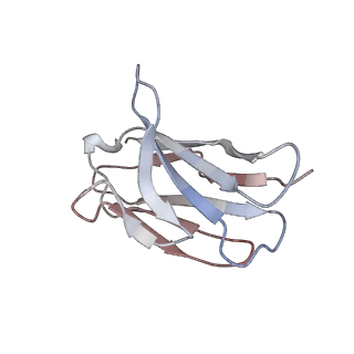 24699_7ru8_L_v1-1
CC6.30 fragment antigen binding in complex with SARS-CoV-2-6P-Mut7 S protein (RBD/Fv local refinement)