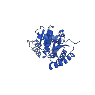 24700_7ru9_A_v1-1
Metazoan pre-targeting GET complex (cBUGG-in)