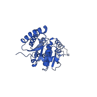 24700_7ru9_B_v1-1
Metazoan pre-targeting GET complex (cBUGG-in)