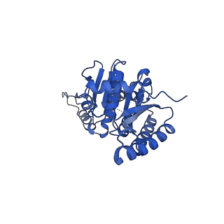 24701_7rua_A_v1-1
Metazoan pre-targeting GET complex (cBUGG-out)