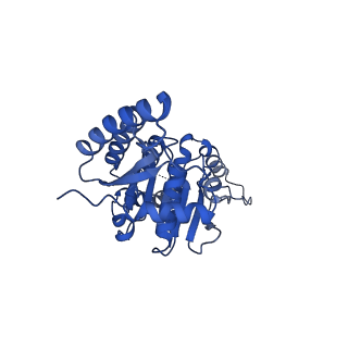 24701_7rua_B_v1-1
Metazoan pre-targeting GET complex (cBUGG-out)