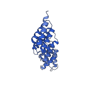 24701_7rua_F_v1-1
Metazoan pre-targeting GET complex (cBUGG-out)