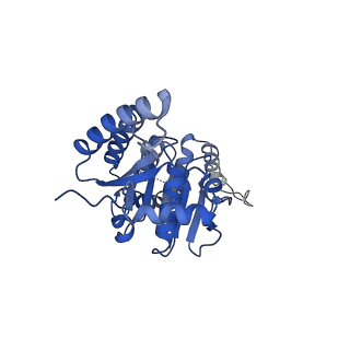 24702_7ruc_B_v1-1
Metazoan pre-targeting GET complex with SGTA (cBUGGS)