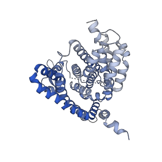 10018_6rvy_A_v1-2
Inward-open structure of the ASCT2 (SLC1A5) mutant C467R in absence of substrate
