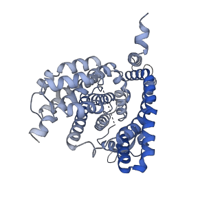 10018_6rvy_B_v1-2
Inward-open structure of the ASCT2 (SLC1A5) mutant C467R in absence of substrate