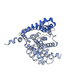 10018_6rvy_C_v1-2
Inward-open structure of the ASCT2 (SLC1A5) mutant C467R in absence of substrate