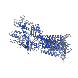 8955_6rvd_A_v2-0
Revised cryo-EM structure of the human 2:1 Ptch1-Shh complex