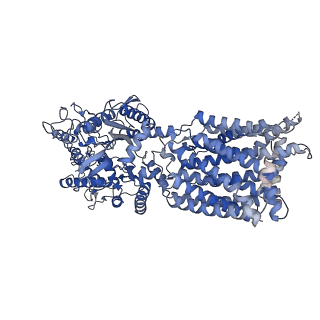8955_6rvd_B_v1-2
Revised cryo-EM structure of the human 2:1 Ptch1-Shh complex