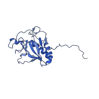 8955_6rvd_C_v1-2
Revised cryo-EM structure of the human 2:1 Ptch1-Shh complex