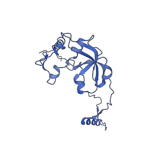 10021_6rw4_0_v1-1
Structure of human mitochondrial 28S ribosome in complex with mitochondrial IF3