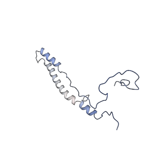 10021_6rw4_2_v1-1
Structure of human mitochondrial 28S ribosome in complex with mitochondrial IF3
