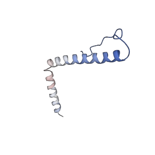 10021_6rw4_3_v1-1
Structure of human mitochondrial 28S ribosome in complex with mitochondrial IF3