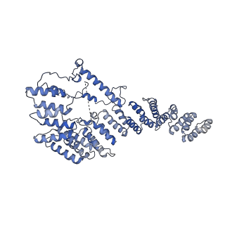 10021_6rw4_4_v1-1
Structure of human mitochondrial 28S ribosome in complex with mitochondrial IF3