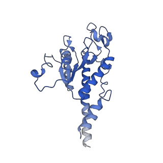 10021_6rw4_B_v1-1
Structure of human mitochondrial 28S ribosome in complex with mitochondrial IF3