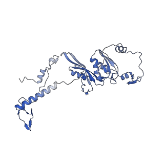 10021_6rw4_D_v1-1
Structure of human mitochondrial 28S ribosome in complex with mitochondrial IF3
