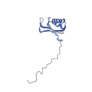 10021_6rw4_E_v1-1
Structure of human mitochondrial 28S ribosome in complex with mitochondrial IF3
