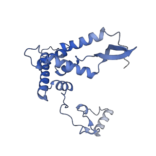 10021_6rw4_F_v1-1
Structure of human mitochondrial 28S ribosome in complex with mitochondrial IF3