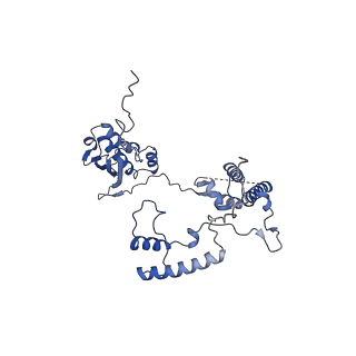 10021_6rw4_G_v1-1
Structure of human mitochondrial 28S ribosome in complex with mitochondrial IF3