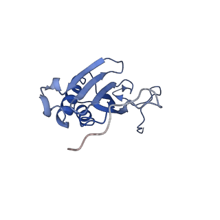 10021_6rw4_I_v1-1
Structure of human mitochondrial 28S ribosome in complex with mitochondrial IF3