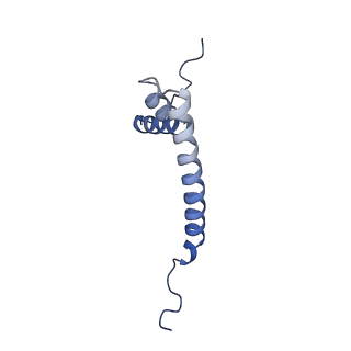 10021_6rw4_Q_v1-1
Structure of human mitochondrial 28S ribosome in complex with mitochondrial IF3