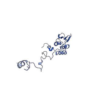 10021_6rw4_T_v1-1
Structure of human mitochondrial 28S ribosome in complex with mitochondrial IF3