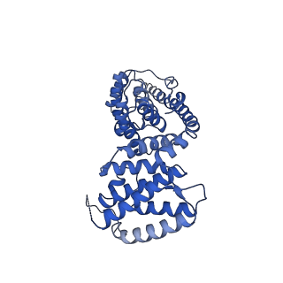 10021_6rw4_V_v1-1
Structure of human mitochondrial 28S ribosome in complex with mitochondrial IF3