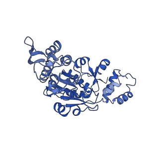 10021_6rw4_X_v1-1
Structure of human mitochondrial 28S ribosome in complex with mitochondrial IF3