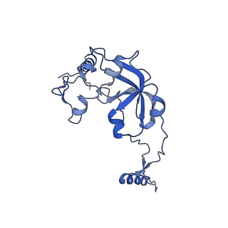 10022_6rw5_0_v1-1
Structure of human mitochondrial 28S ribosome in complex with mitochondrial IF2 and IF3