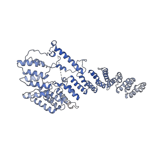 10022_6rw5_4_v1-1
Structure of human mitochondrial 28S ribosome in complex with mitochondrial IF2 and IF3