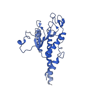 10022_6rw5_B_v1-1
Structure of human mitochondrial 28S ribosome in complex with mitochondrial IF2 and IF3