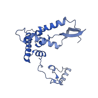 10022_6rw5_F_v1-1
Structure of human mitochondrial 28S ribosome in complex with mitochondrial IF2 and IF3