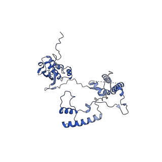 10022_6rw5_G_v1-1
Structure of human mitochondrial 28S ribosome in complex with mitochondrial IF2 and IF3