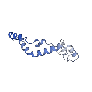 10022_6rw5_K_v1-1
Structure of human mitochondrial 28S ribosome in complex with mitochondrial IF2 and IF3