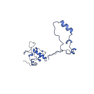 10022_6rw5_O_v1-1
Structure of human mitochondrial 28S ribosome in complex with mitochondrial IF2 and IF3