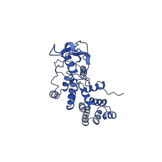 10022_6rw5_R_v1-1
Structure of human mitochondrial 28S ribosome in complex with mitochondrial IF2 and IF3