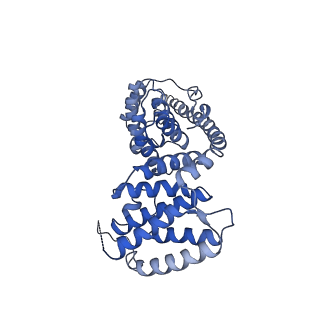 10022_6rw5_V_v1-1
Structure of human mitochondrial 28S ribosome in complex with mitochondrial IF2 and IF3