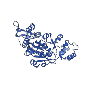 10022_6rw5_X_v1-1
Structure of human mitochondrial 28S ribosome in complex with mitochondrial IF2 and IF3