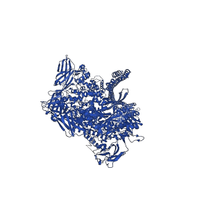 10033_6rw6_E_v1-1
Cryo-EM structure of Photorhabdus luminescens TcdA1