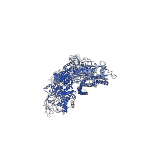 10035_6rw9_C_v1-1
Cryo-EM structure of Morganella morganii TcdA4