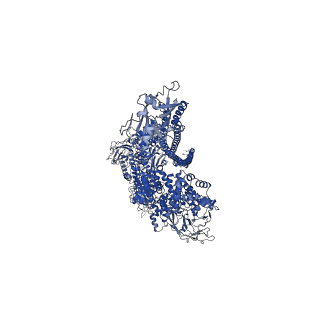 10035_6rw9_D_v1-1
Cryo-EM structure of Morganella morganii TcdA4