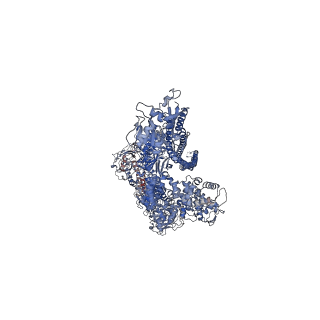 10036_6rwa_A_v1-1
Cryo-EM structure of Photorhabdus luminescens TcdA4