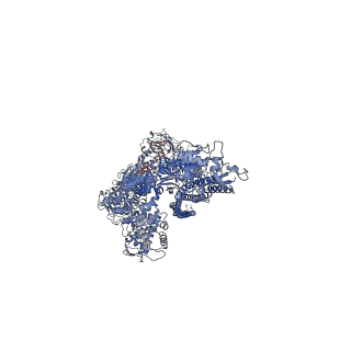 10036_6rwa_E_v1-1
Cryo-EM structure of Photorhabdus luminescens TcdA4
