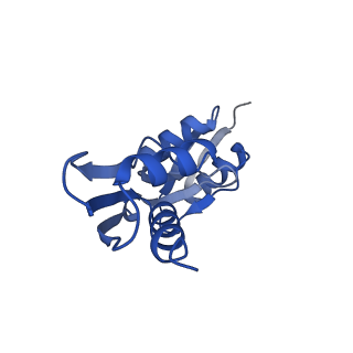 10040_6rwk_3_v1-1
MxiD N0 N1 and MxiG C-terminal domains of the Shigella type 3 secretion system