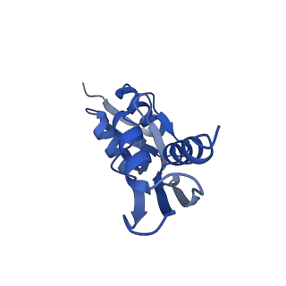 10040_6rwk_7_v1-1
MxiD N0 N1 and MxiG C-terminal domains of the Shigella type 3 secretion system