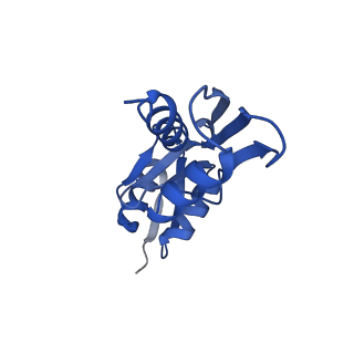 10040_6rwk_Y_v1-1
MxiD N0 N1 and MxiG C-terminal domains of the Shigella type 3 secretion system